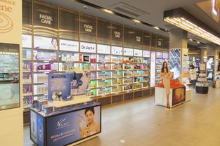 家具與文化用品設(shè)計產(chǎn)業(yè)鏈 從生產(chǎn)到招商的完整生態(tài)